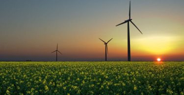 In Italia consumo record di elettricità ma le rinnovabili vanno a rilento