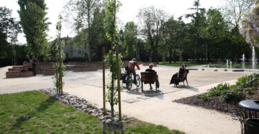 Team building “sostenibile”, così Alì ripulisce argini e zone verdi